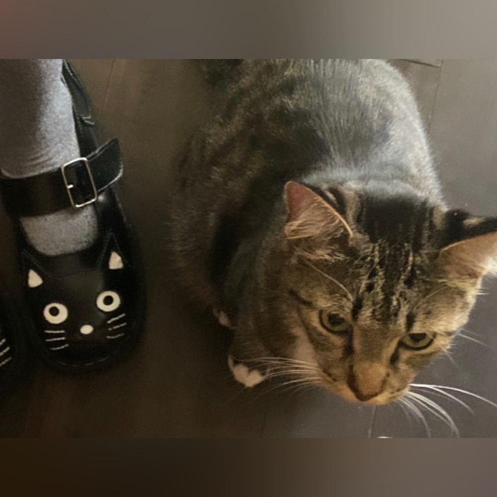 freddy - Picture 12 of 16